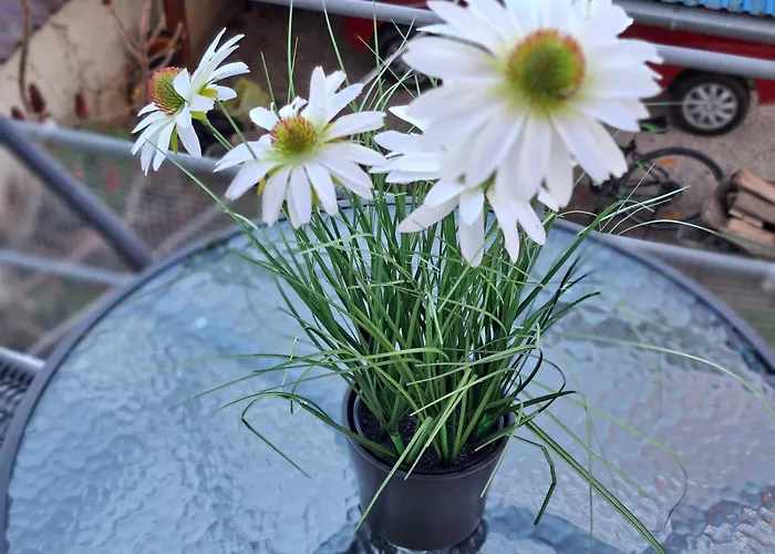 Lotusz Medencevel Appartement Ordacsehi